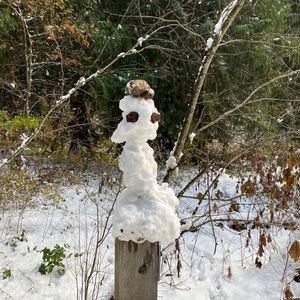 Meet your Posher, Pattie